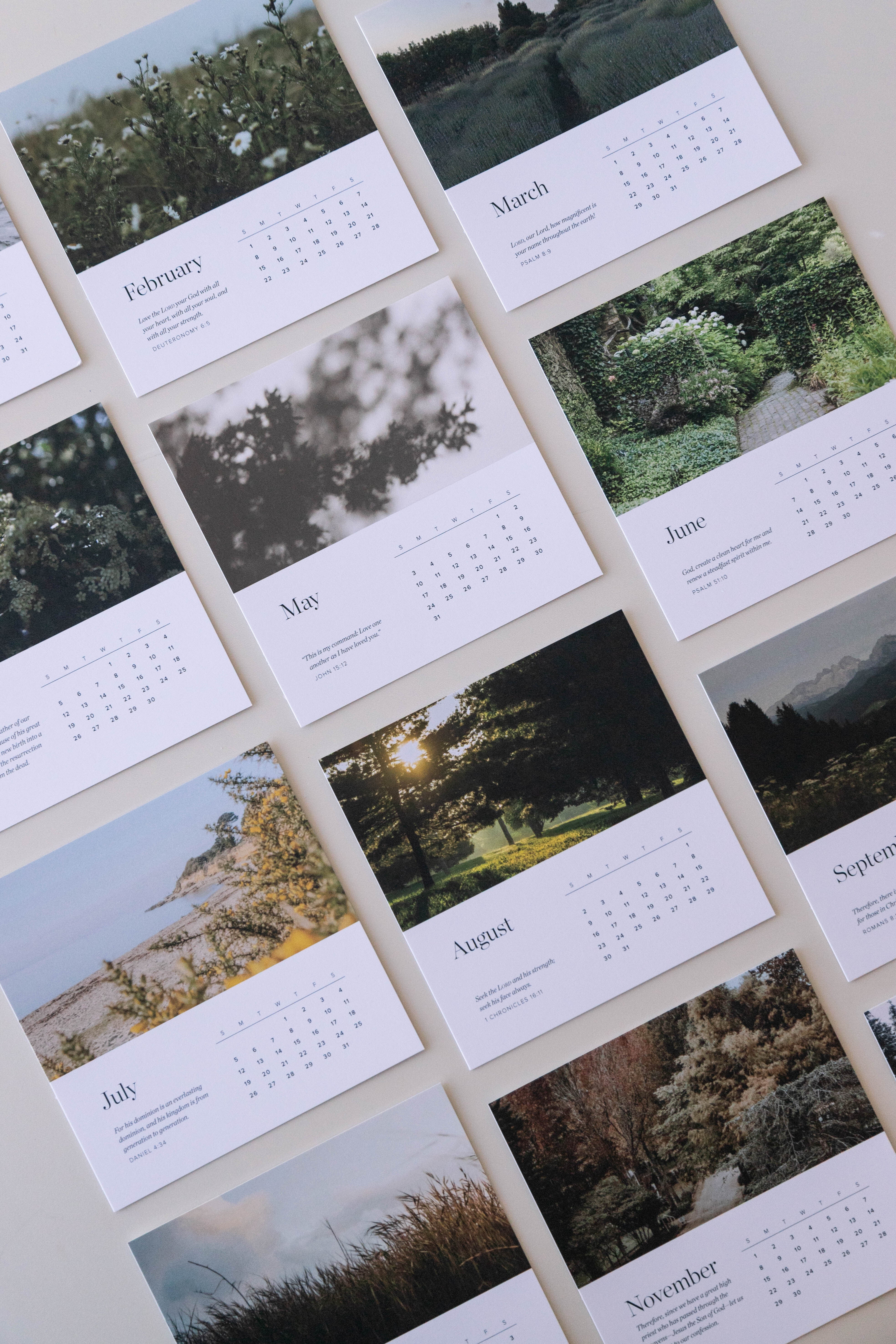 2026 Scripture Calendar Card Set - Image 3
