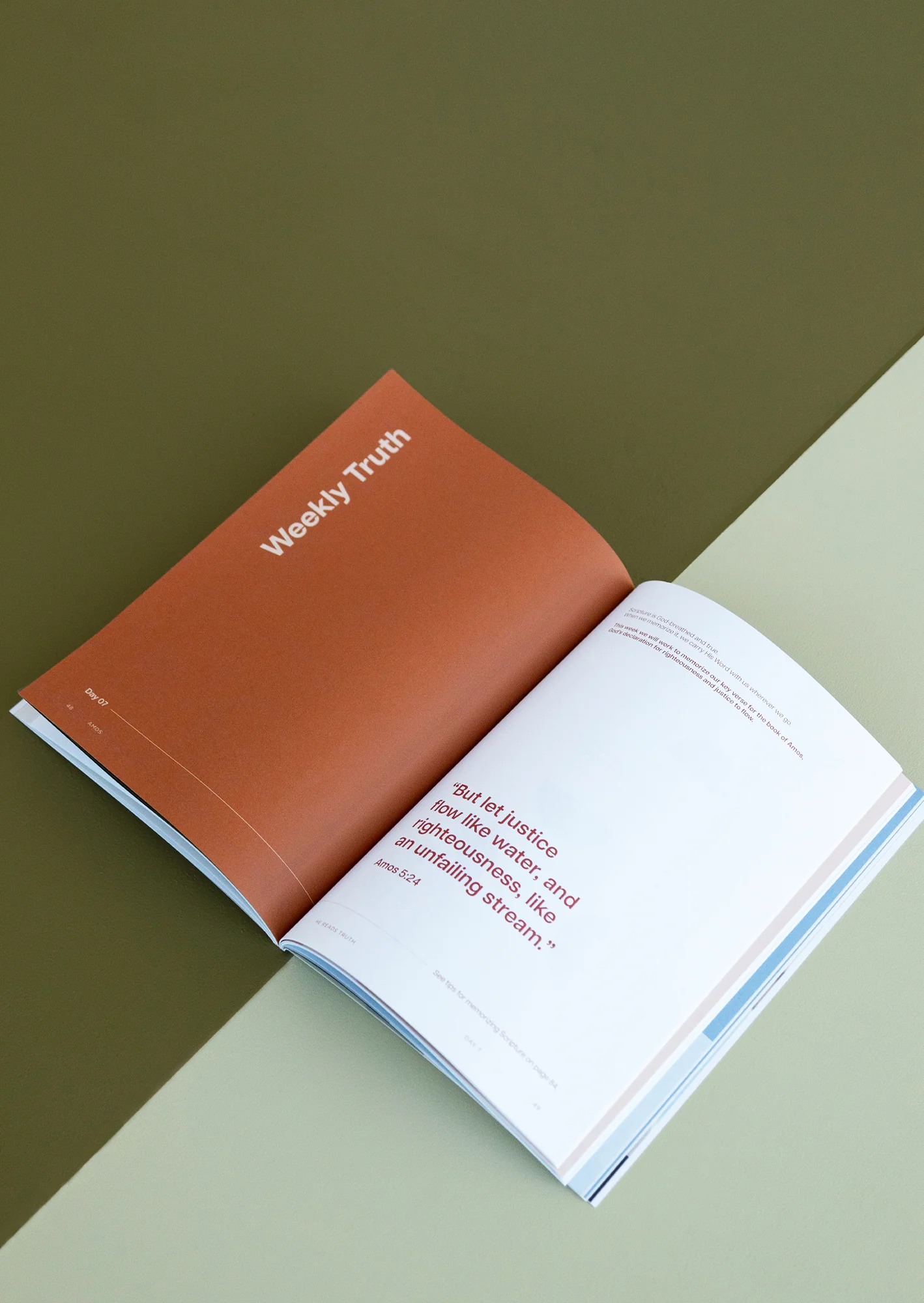 Amos Men's Reading Guide - Image 6