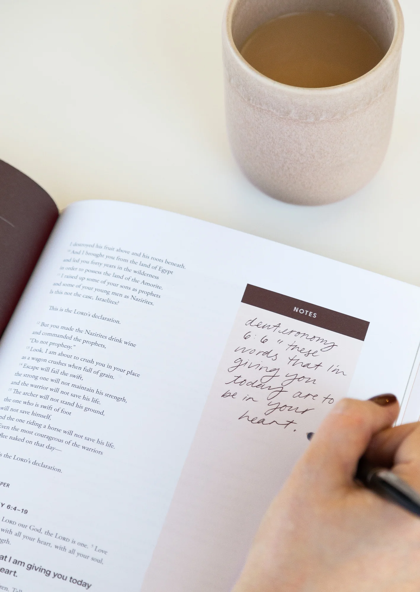 Amos Women's Reading Guide - Image 6