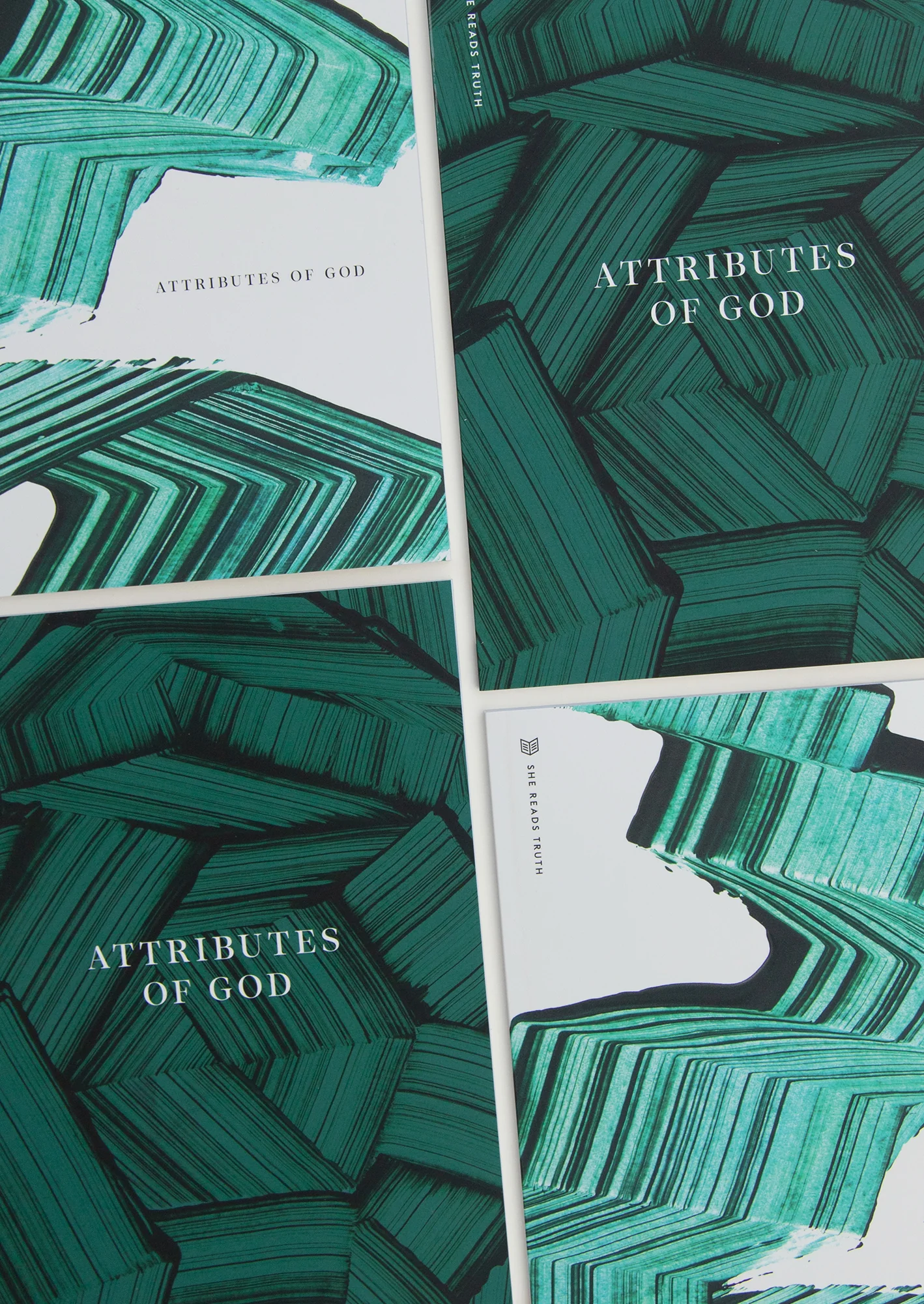 Attributes of God Women's and Men's Reading Guide Bundle - Image 3