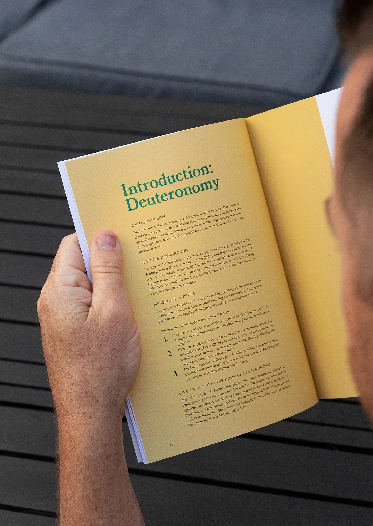 Deuteronomy Men's Reading Guide - Image 3
