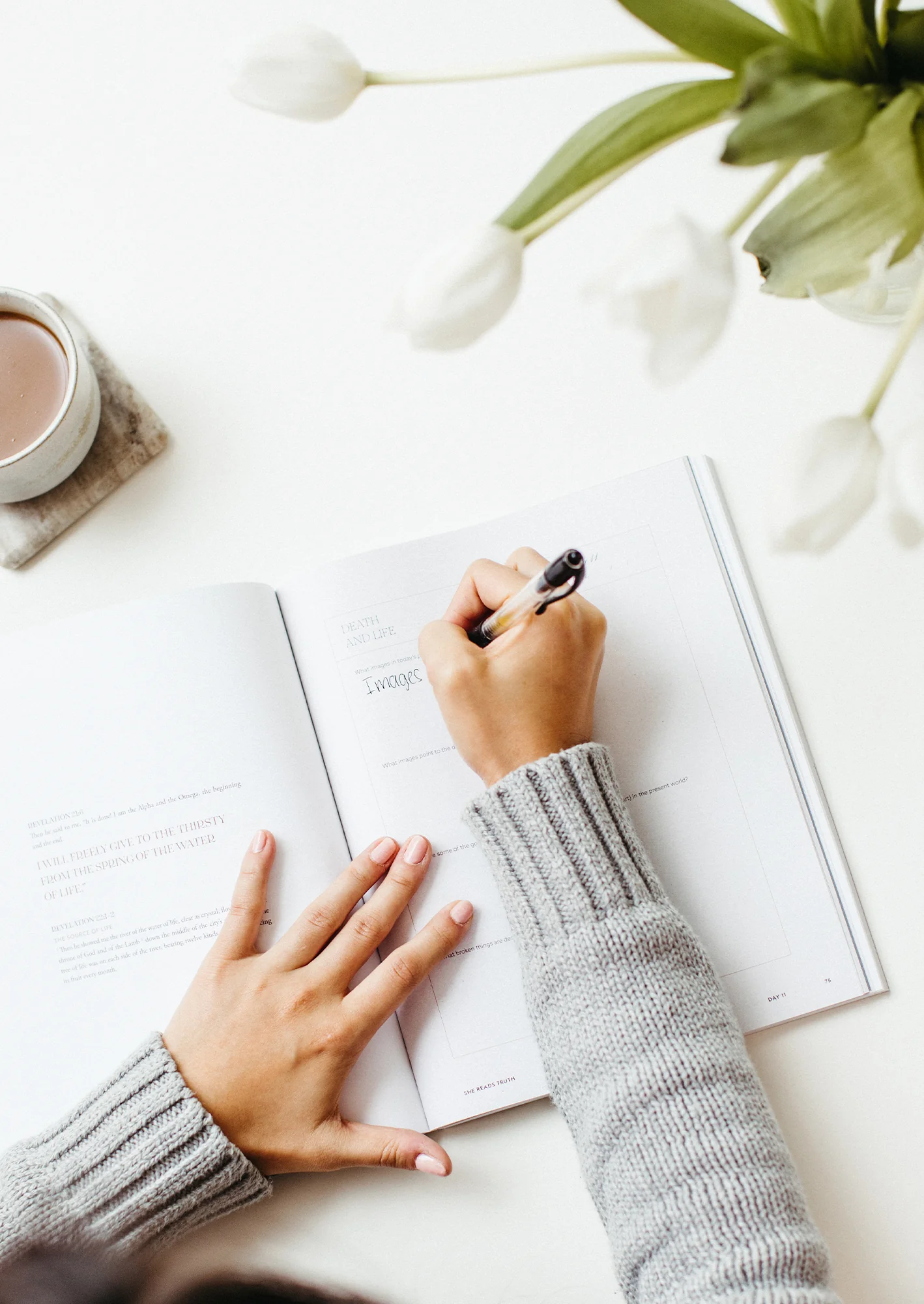 Everything New Women's Reading Guide - Image 3
