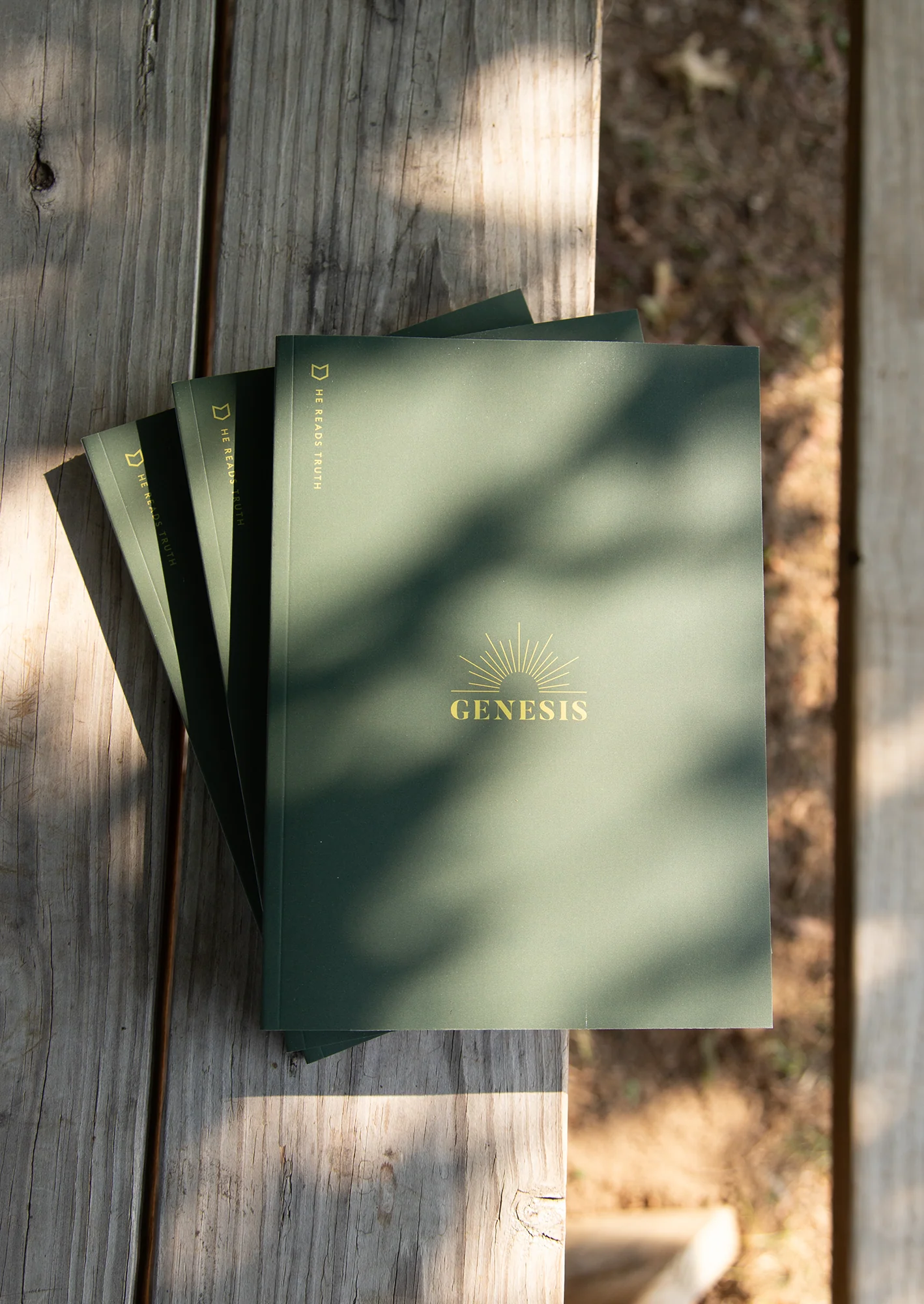 Genesis Men's Reading Guide - Image 3