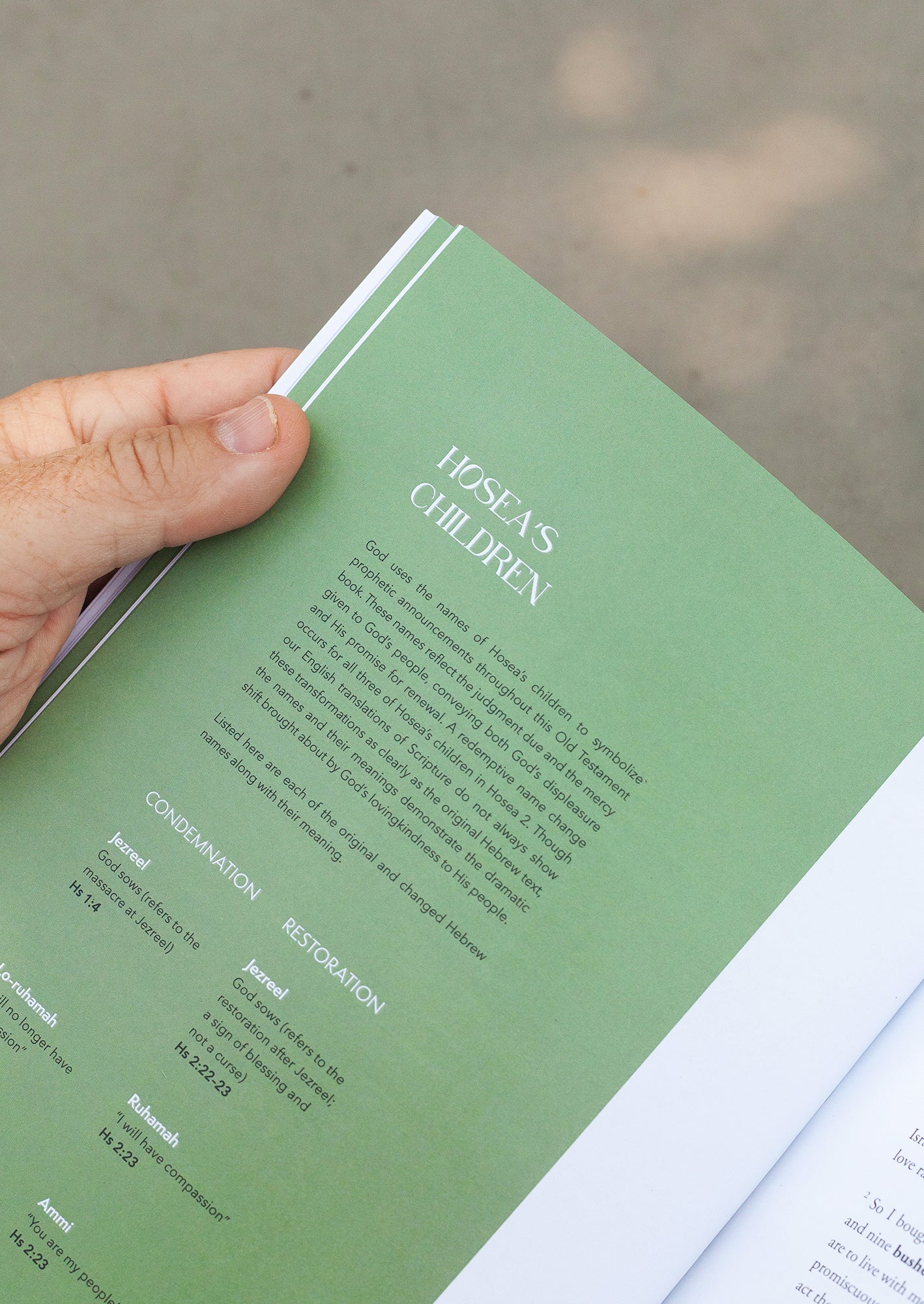 Hosea Men's Reading Guide - Image 4