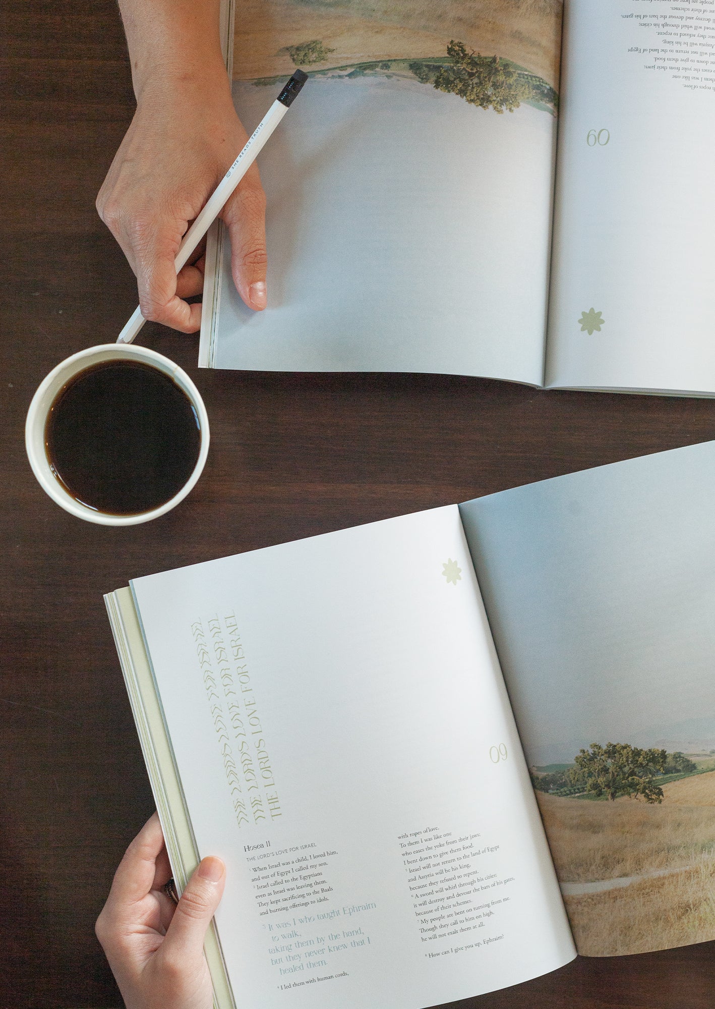 Hosea Women's Reading Guide - Image 3
