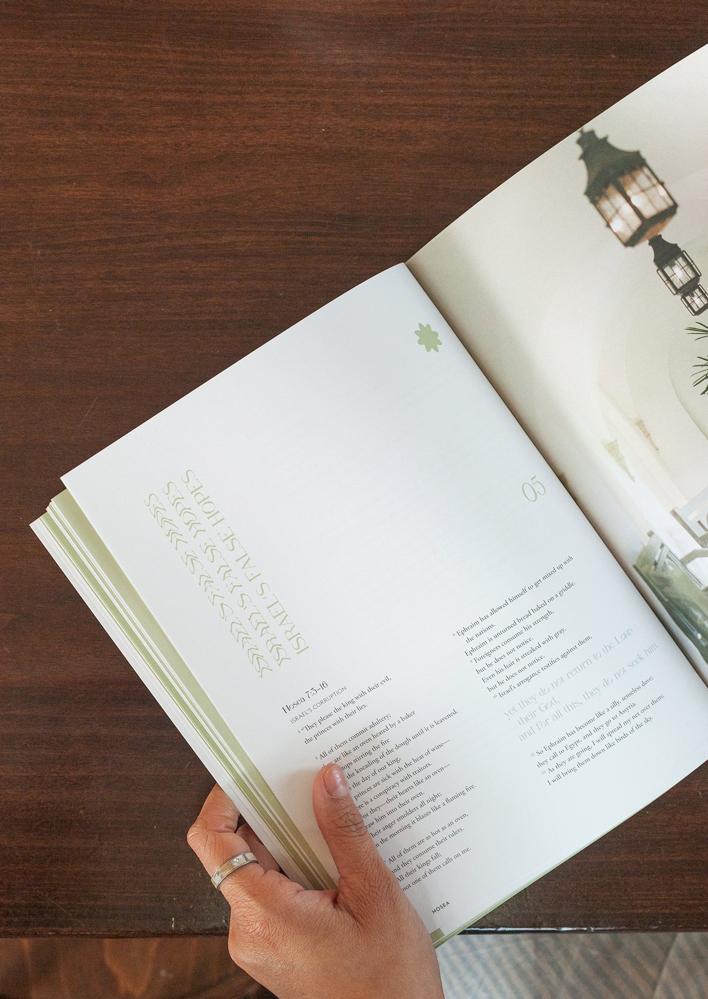 Hosea Women's Reading Guide - Image 6