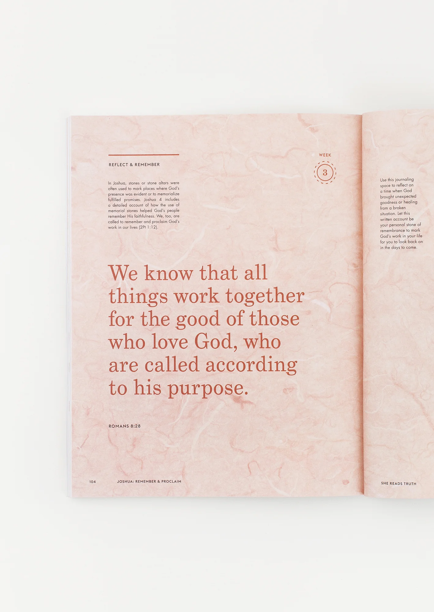 Joshua Women's Reading Guide - Image 3