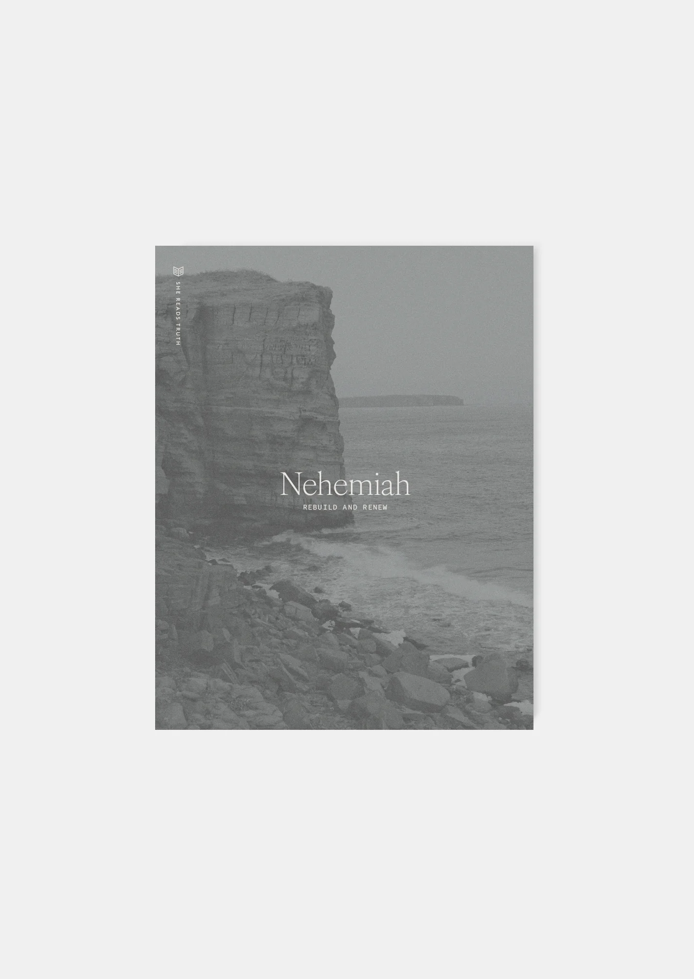 Nehemiah: Rebuild and Renew Women's Reading Guide