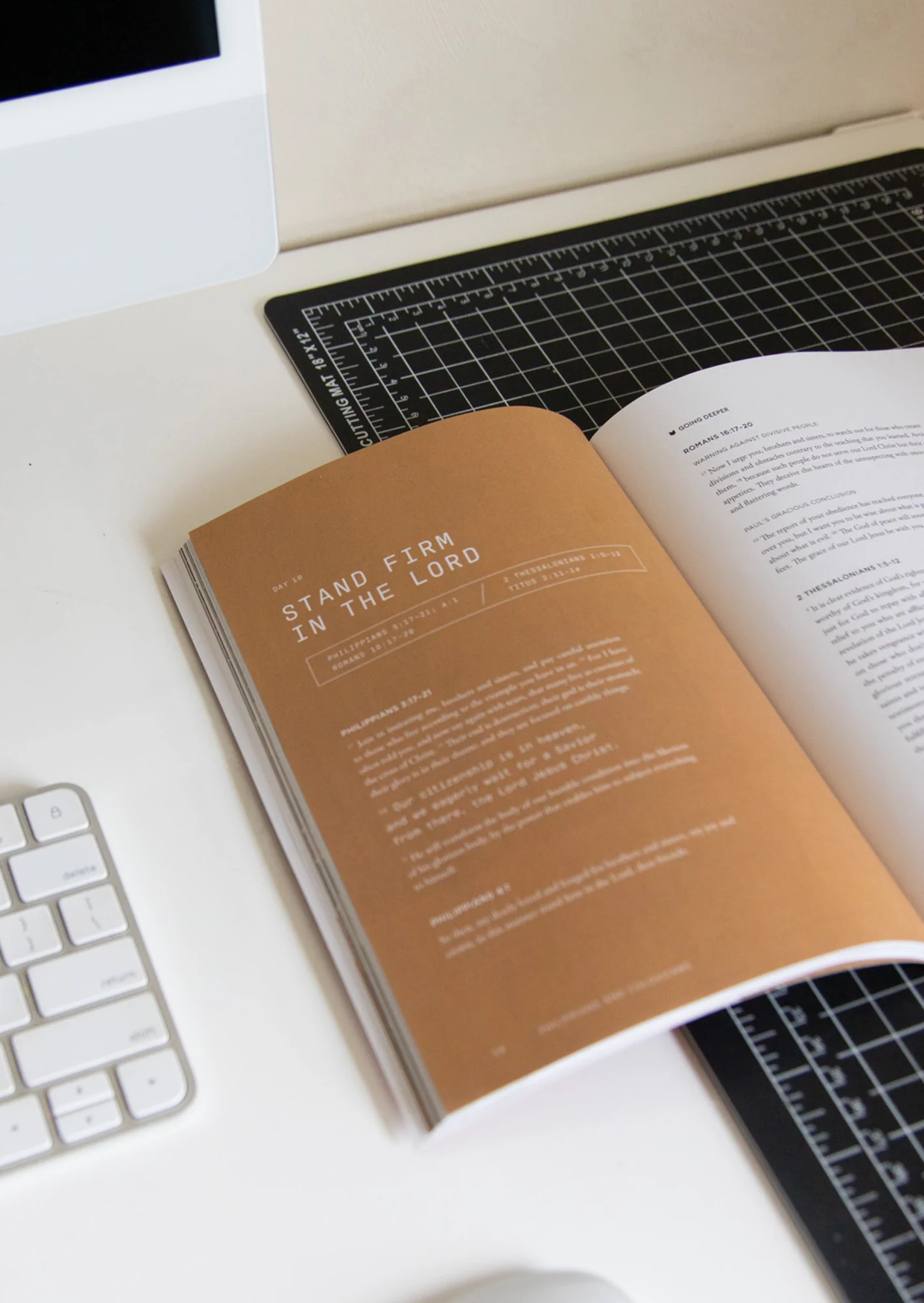 Philippians & Colossians Men's Reading Guide - Image 3