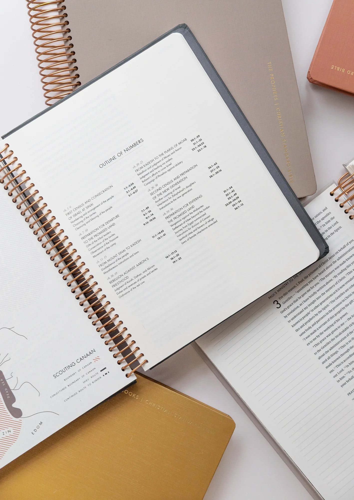 She Reads Truth Spiral Bound Notetaking Bible, Five-Volume Set - Image 4