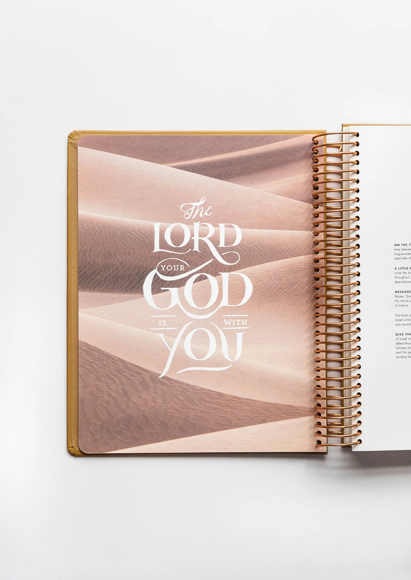 She Reads Truth Spiral Bound Notetaking Bible, Five-Volume Set - Image 6