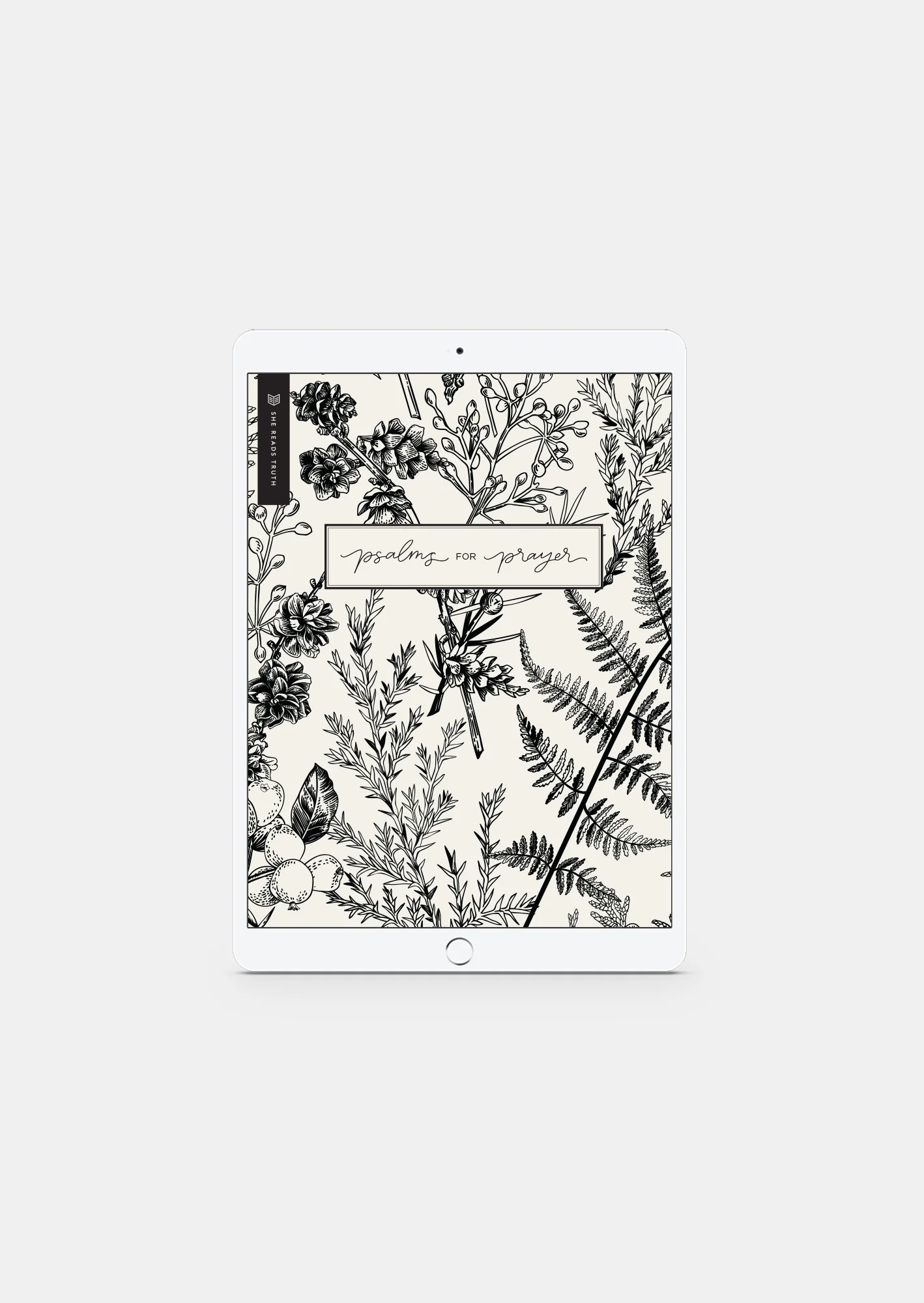 Psalms for Prayer Women's Reading Guide (DIGITAL)