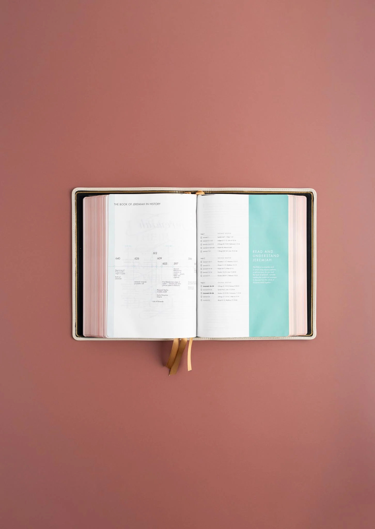 She Reads Truth Bible, Holman Handcrafted Collection, Blonde Premium Calfskin - Image 6