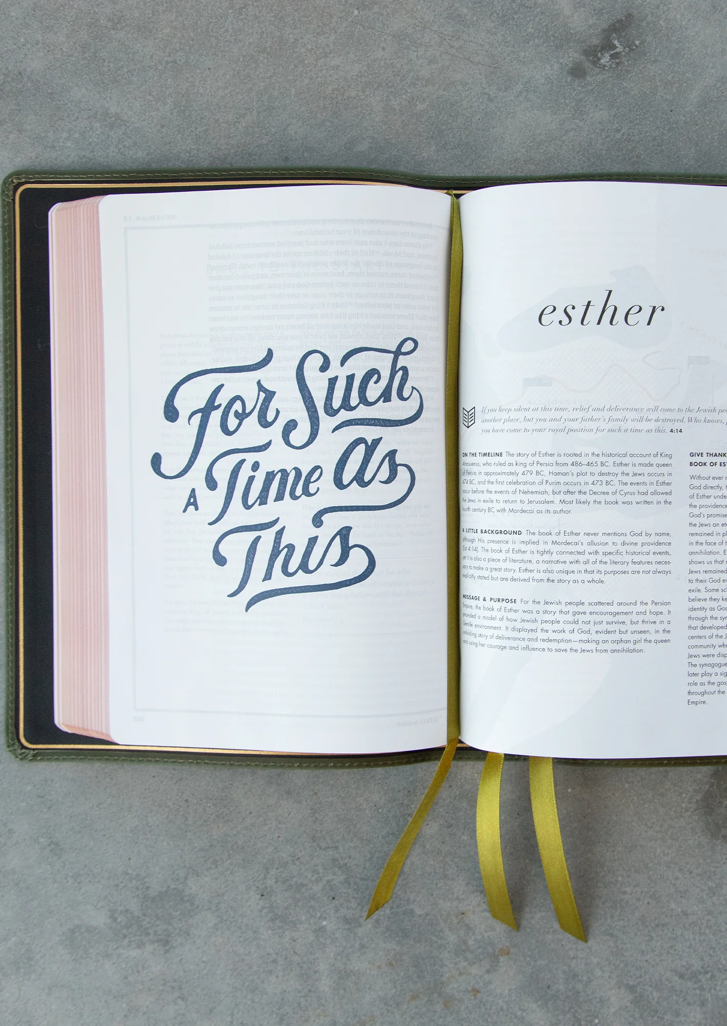 She Reads Truth Bible, Holman Handcrafted Collection, Olive Premium Calfskin - Image 3
