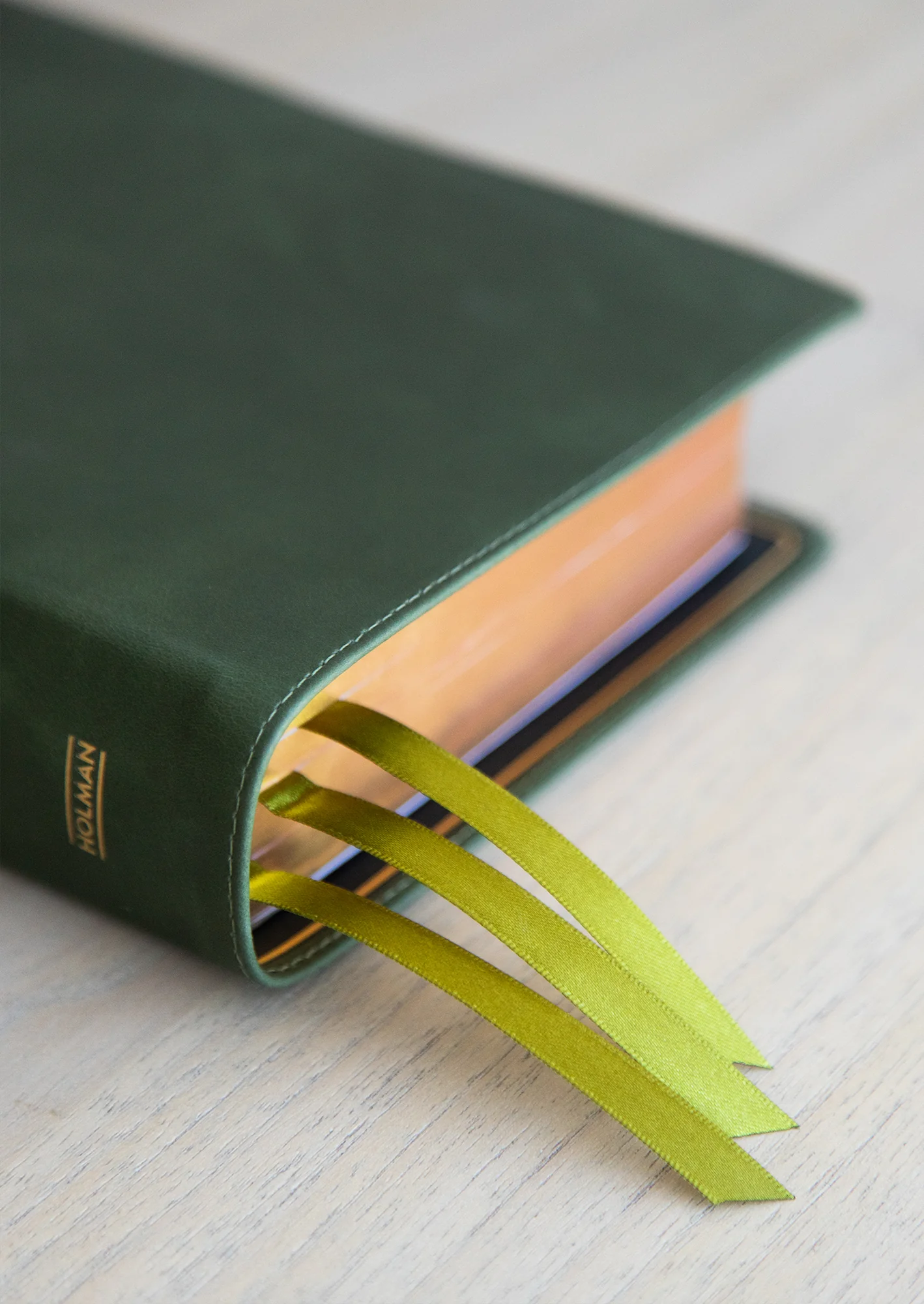 She Reads Truth Bible, Holman Handcrafted Collection, Olive Premium Calfskin - Image 4