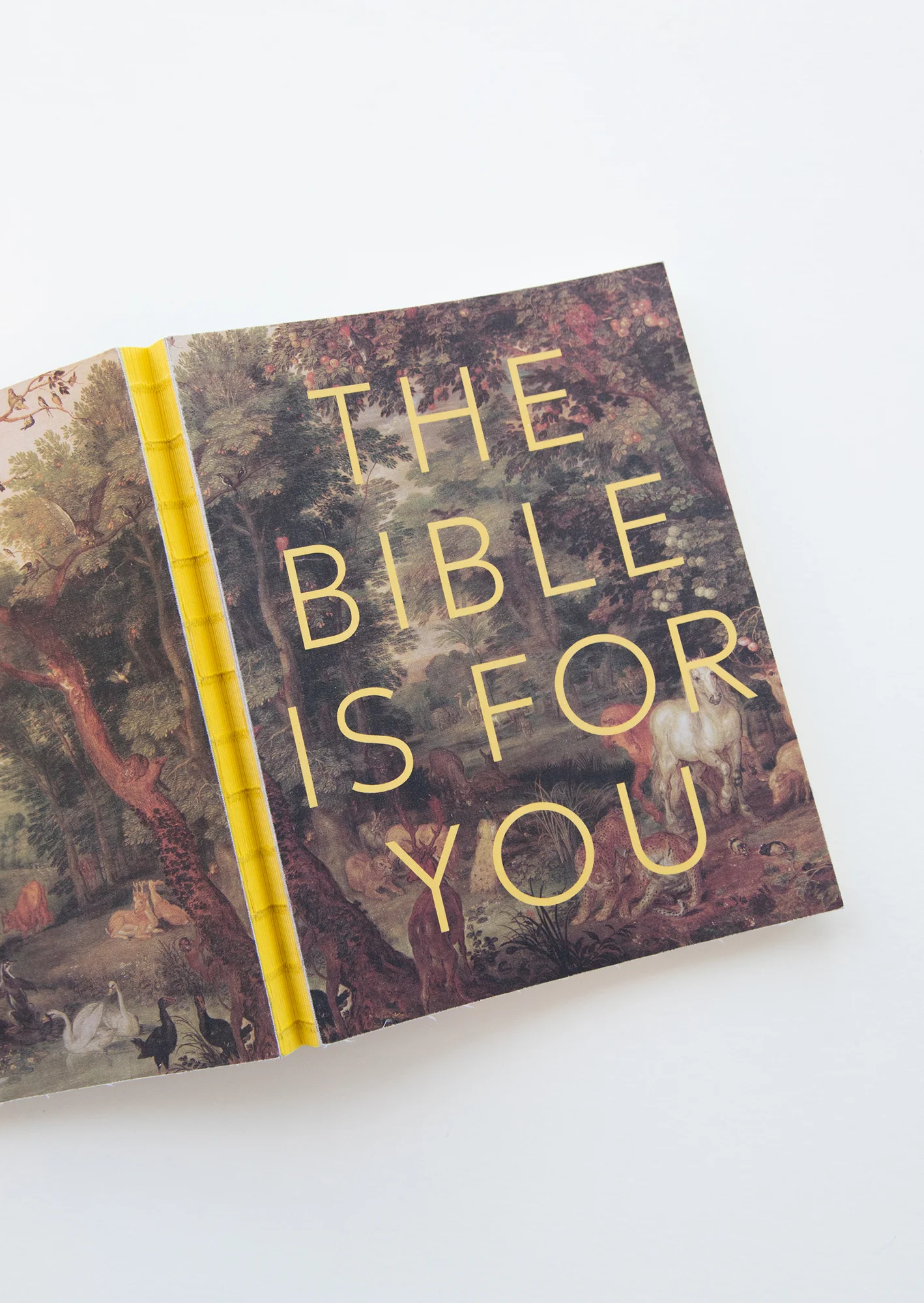 The Bible Is for You: A Devotional Journey Through Every Book of the Bible - Image 3
