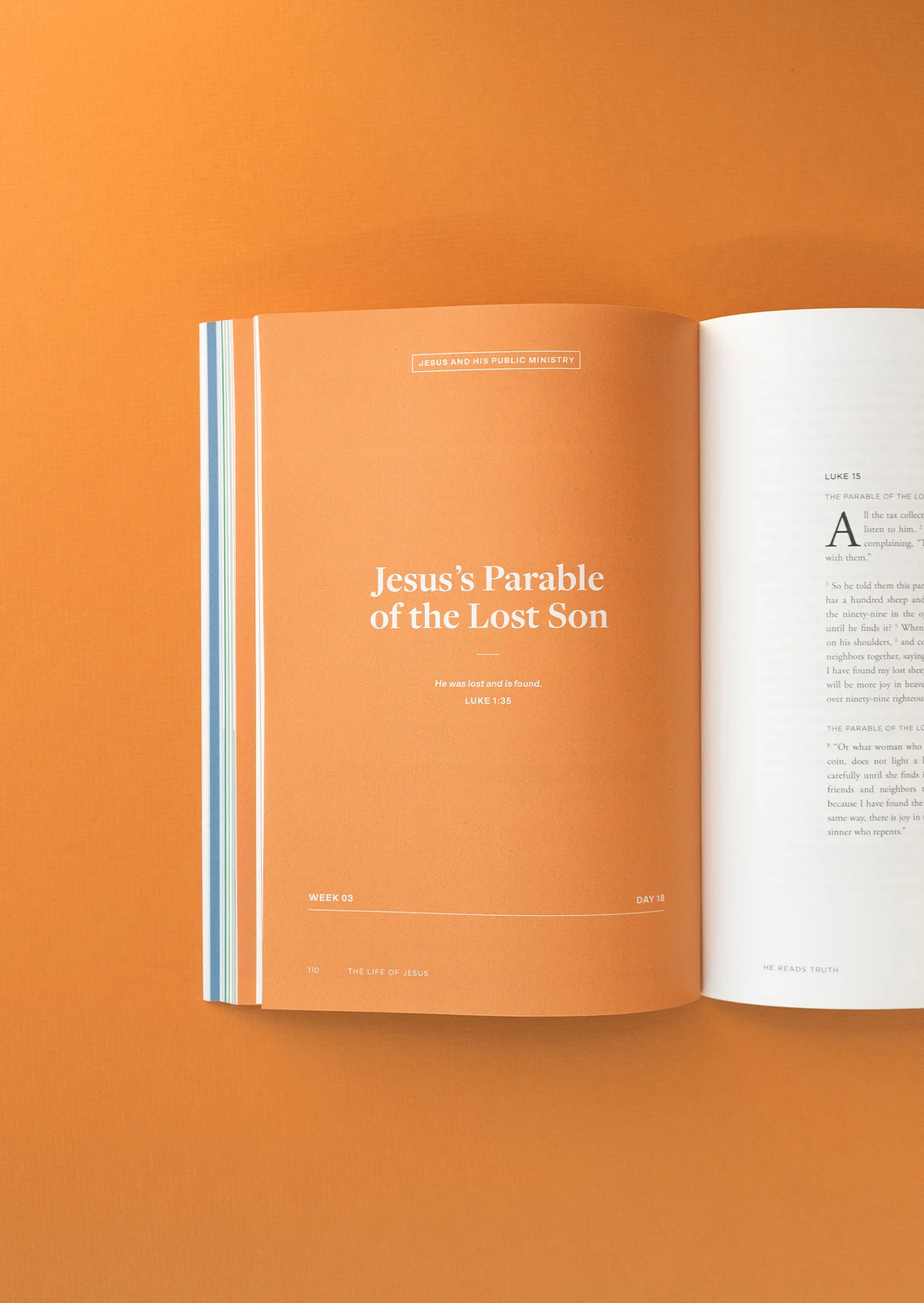 The Life of Jesus Men's Reading Guide - Image 3