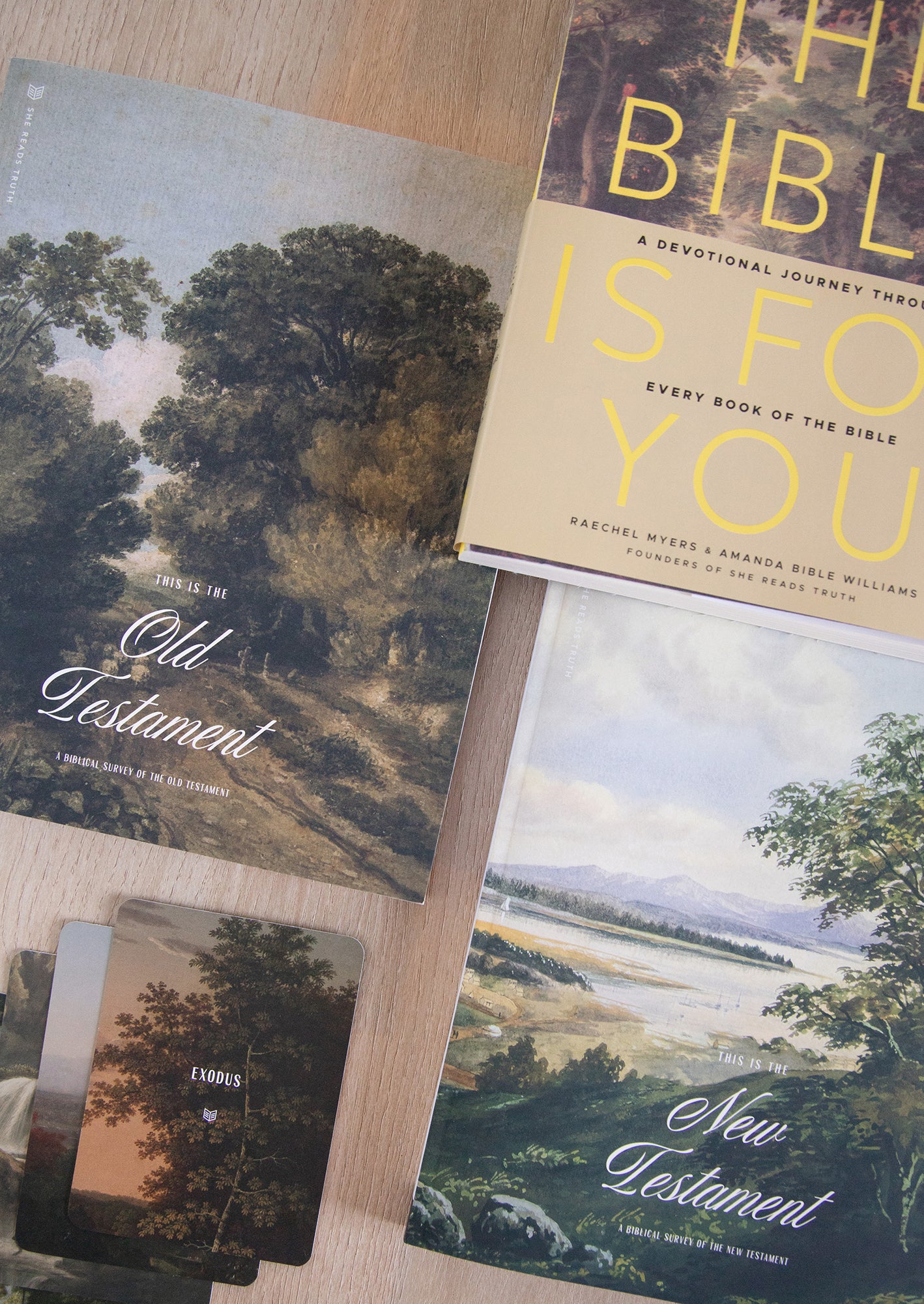The Story of Scripture Ultimate Experience Bundle - Image 3