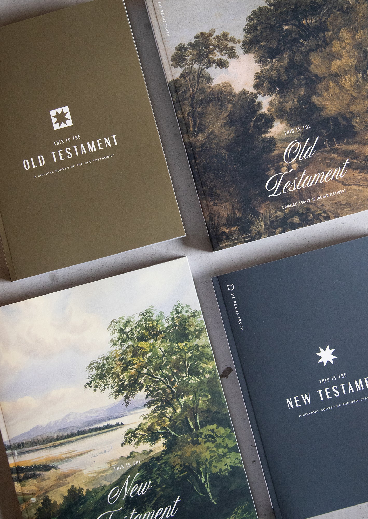 The Story of Scripture Women's and Men’s Reading Guide Bundle - Image 3