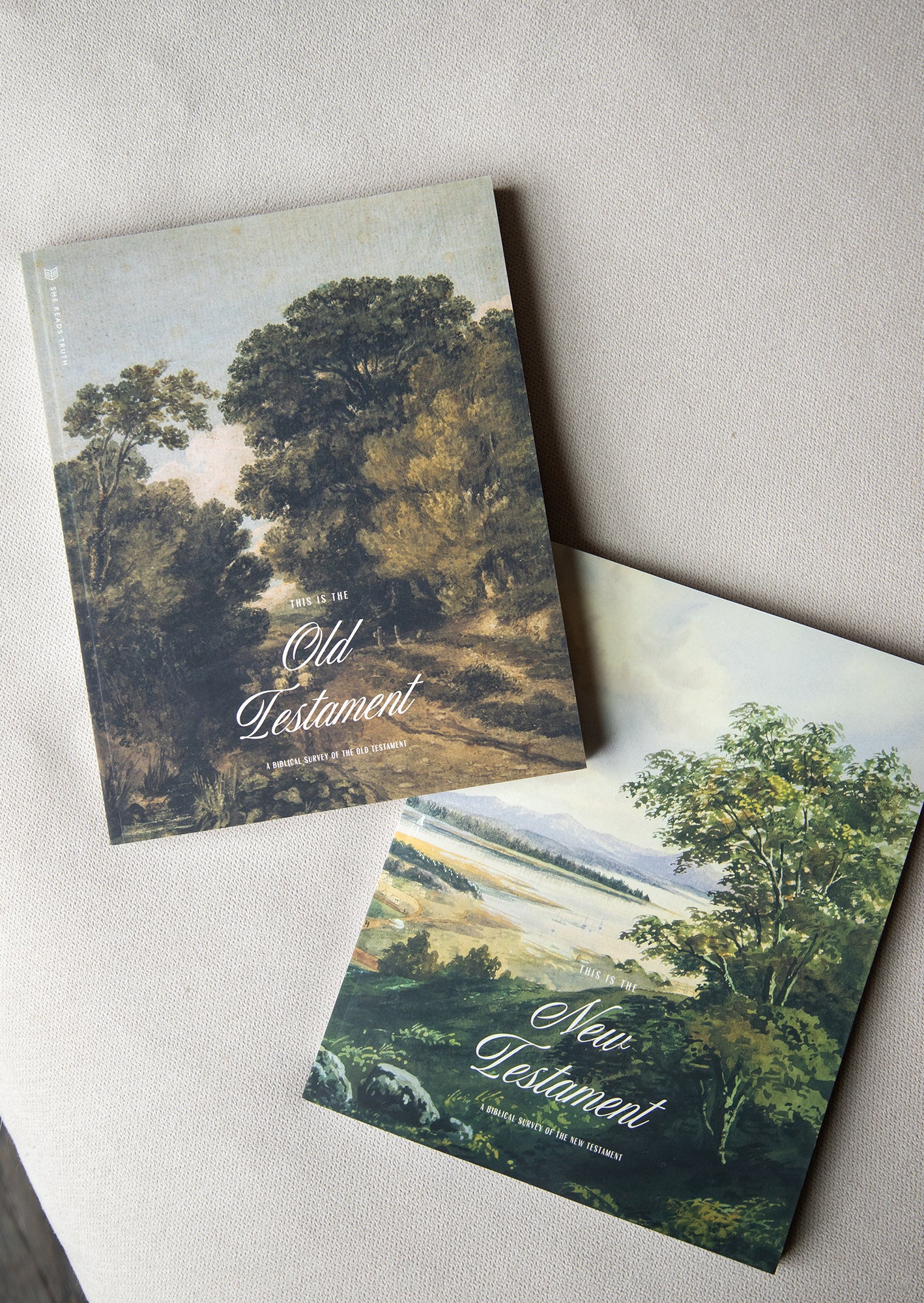 The Story of Scripture Women’s Reading Guide Bundle - Image 3