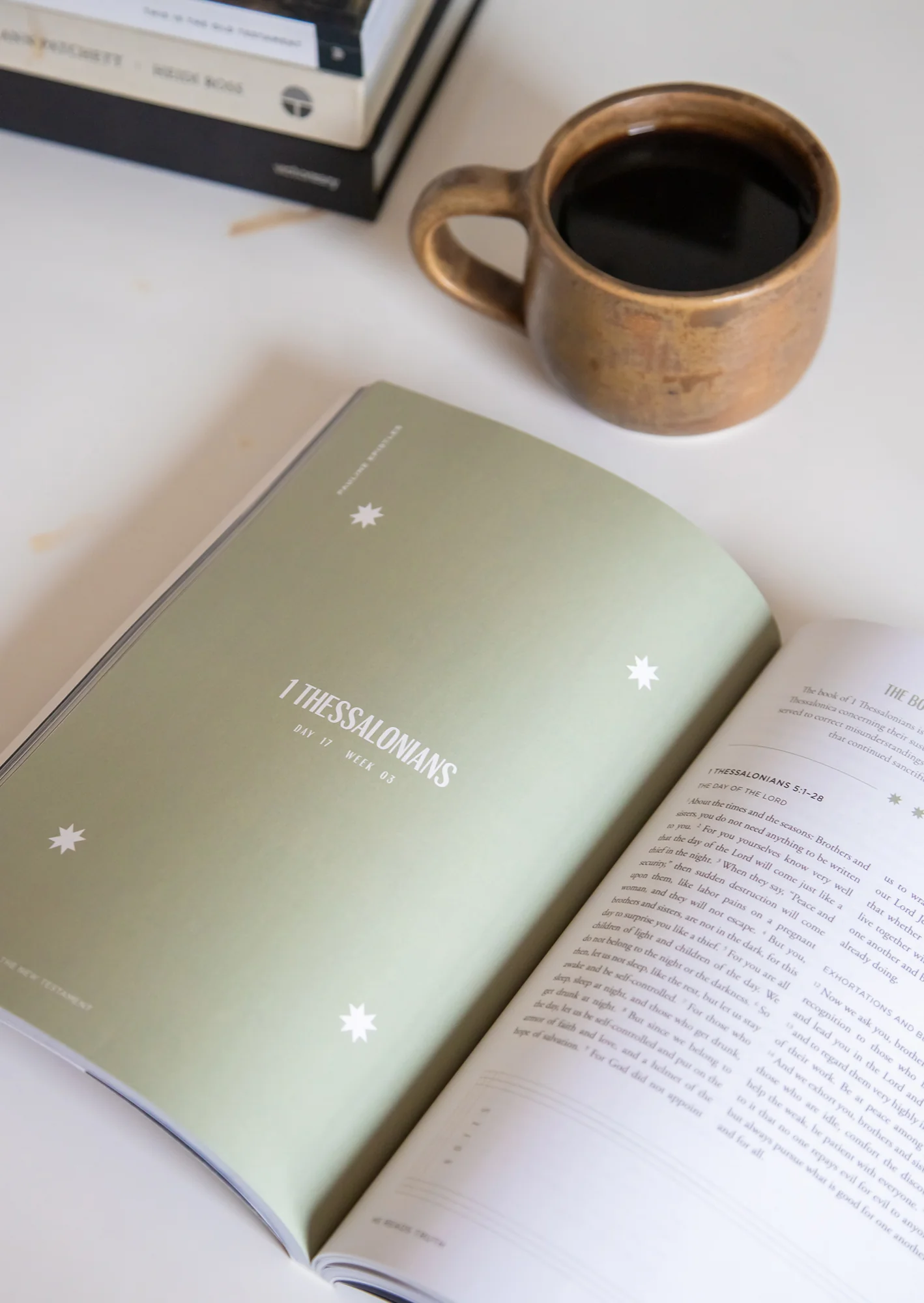 This Is the New Testament Men's Reading Guide - Image 3
