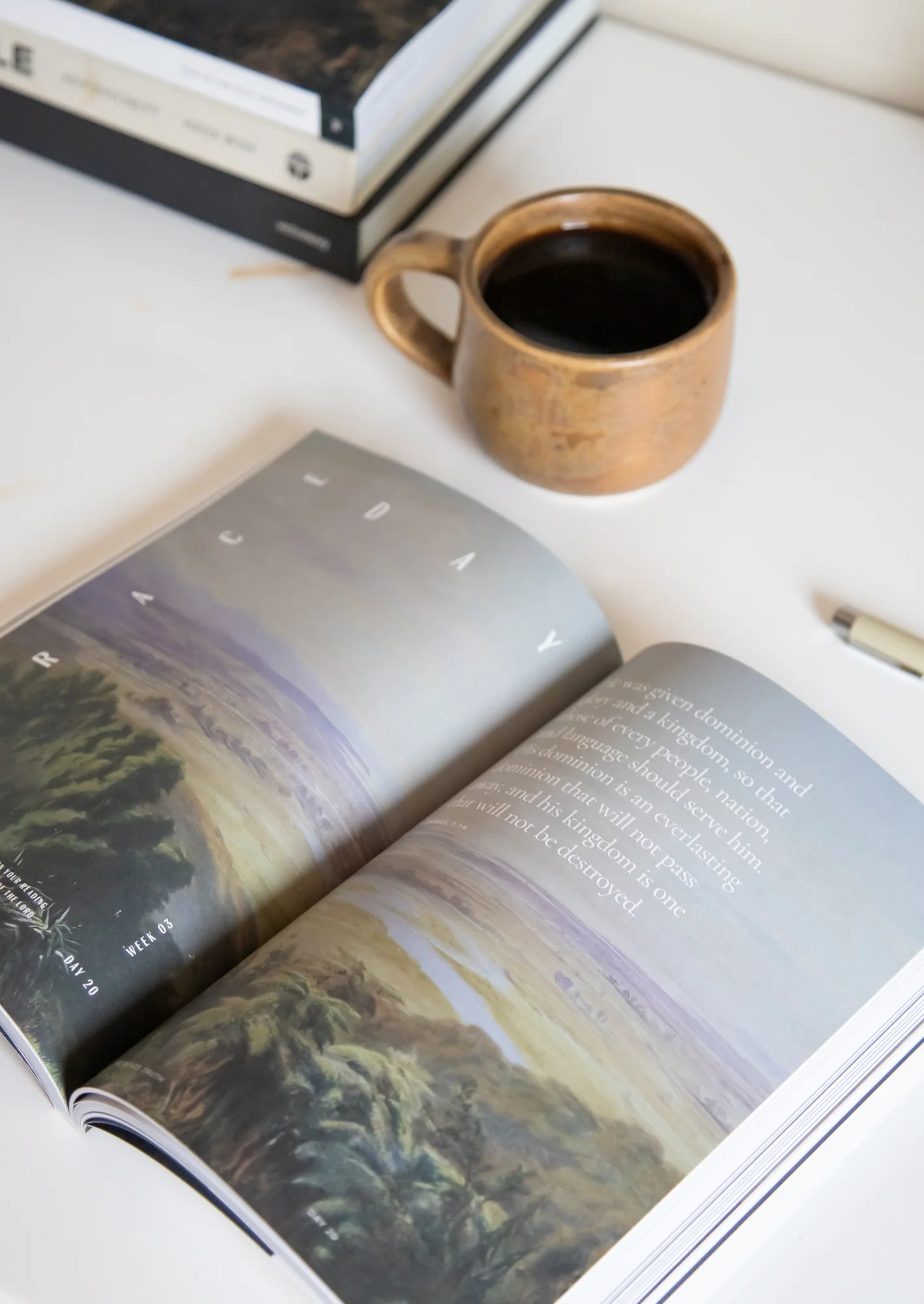 This Is the New Testament Men's Reading Guide - Image 4