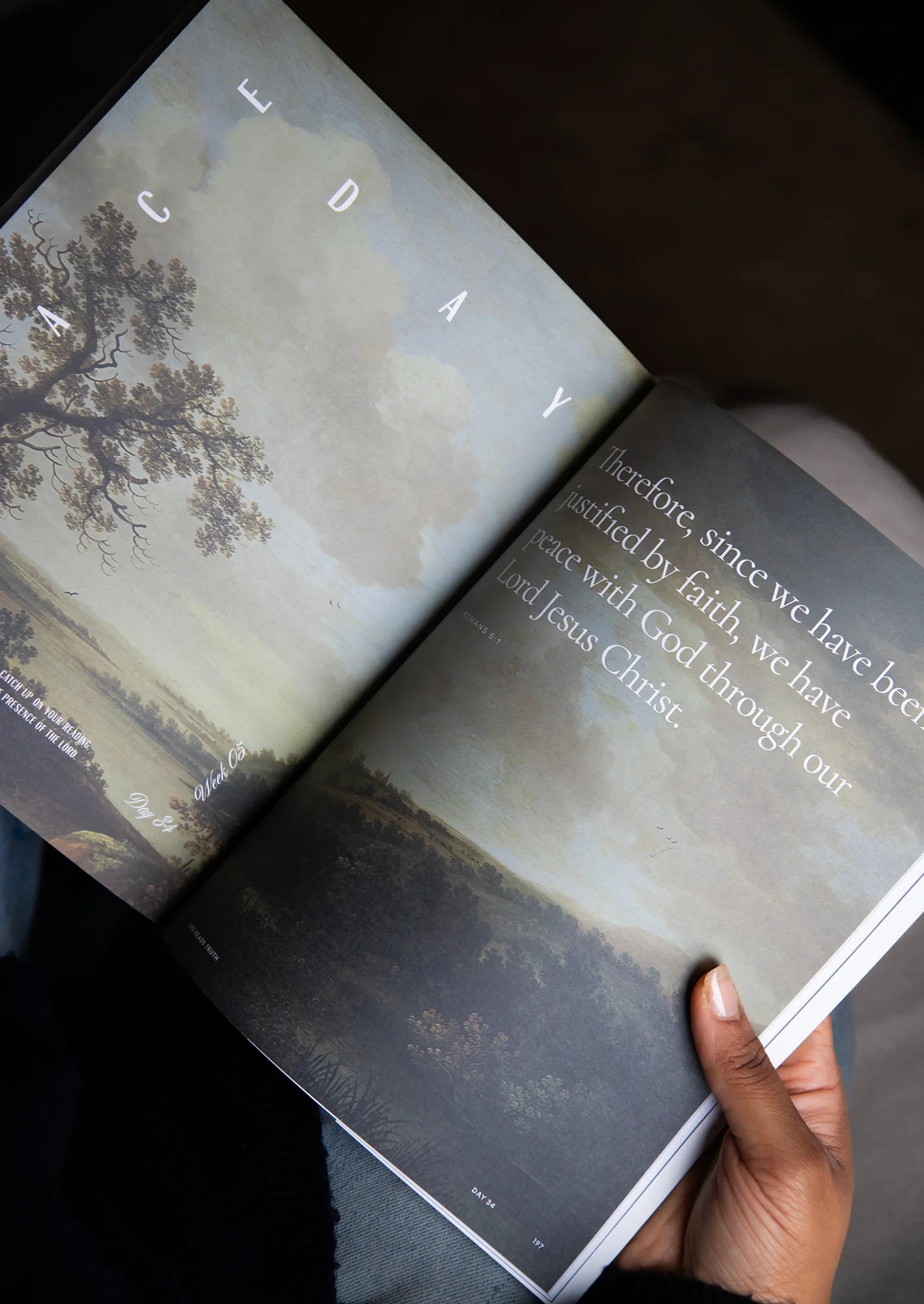 This Is the New Testament Women's Reading Guide - Image 4