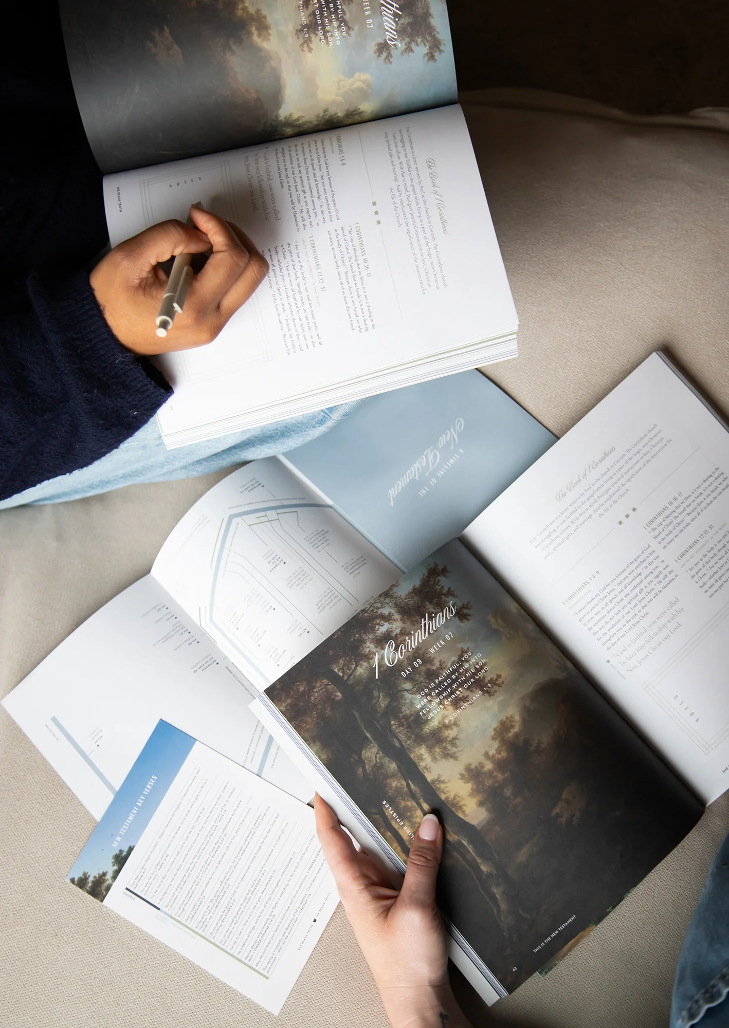 This Is the New Testament Women's Reading Guide - Image 5