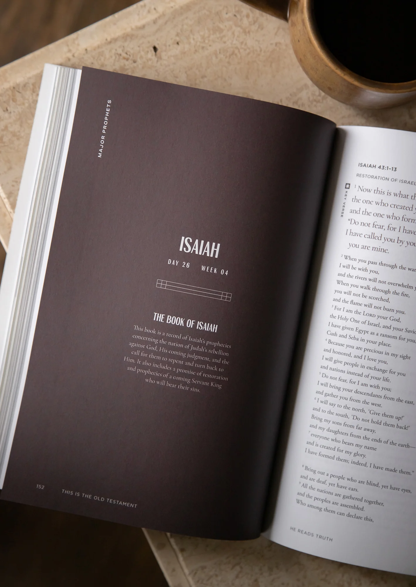 This Is the Old Testament Men's Reading Guide - Image 3