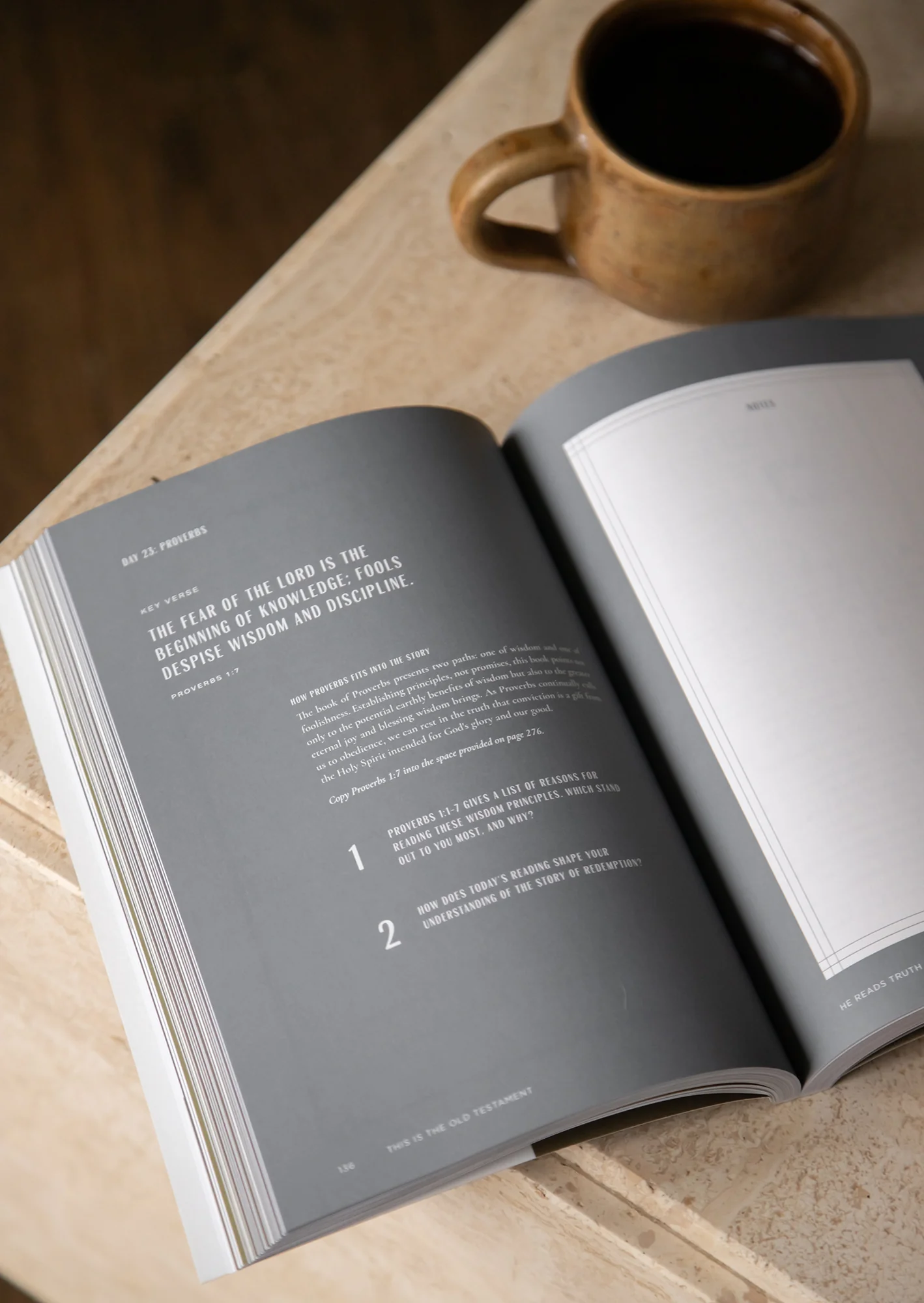 This Is the Old Testament Men's Reading Guide - Image 4