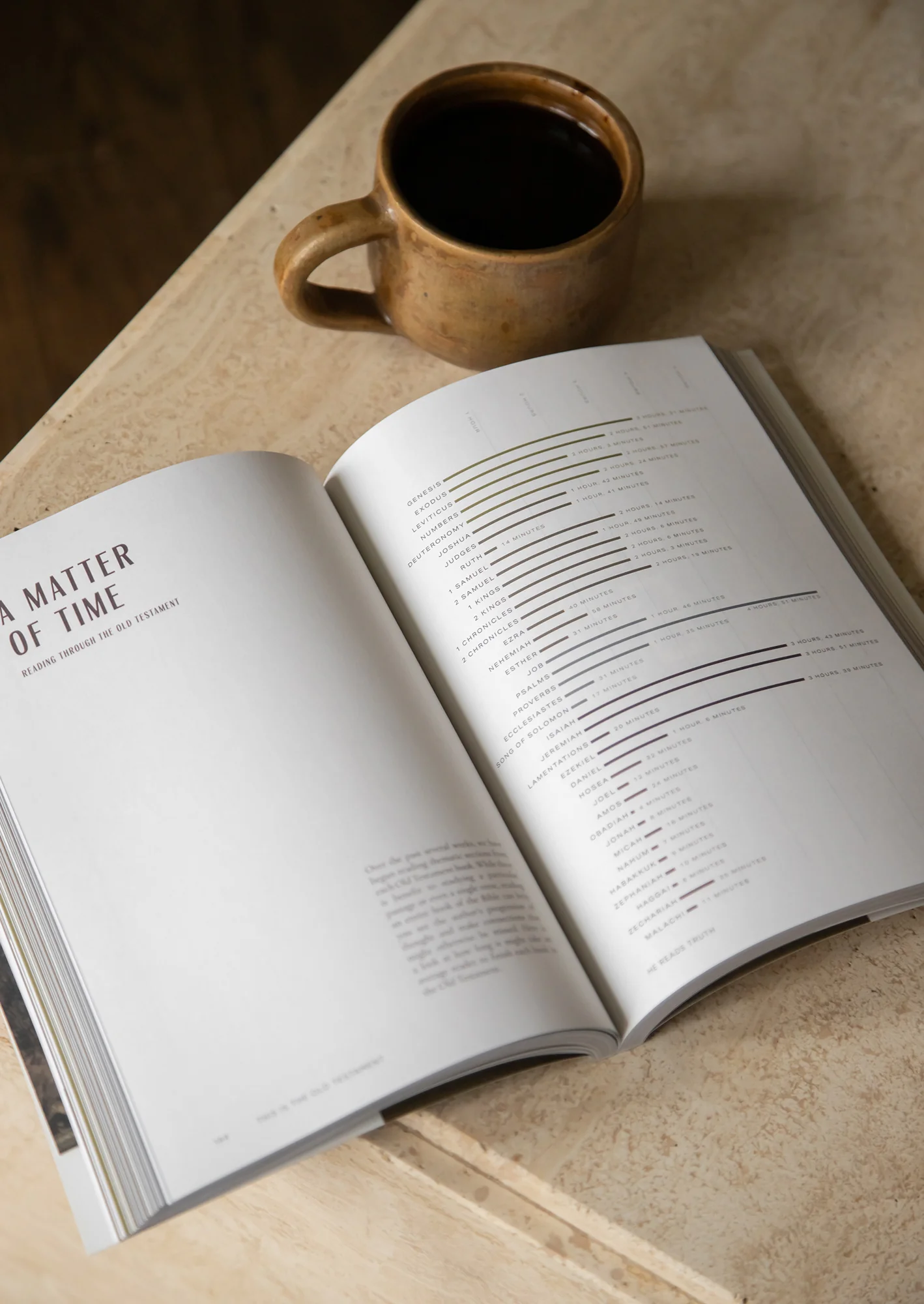 This Is the Old Testament Men's Reading Guide - Image 5