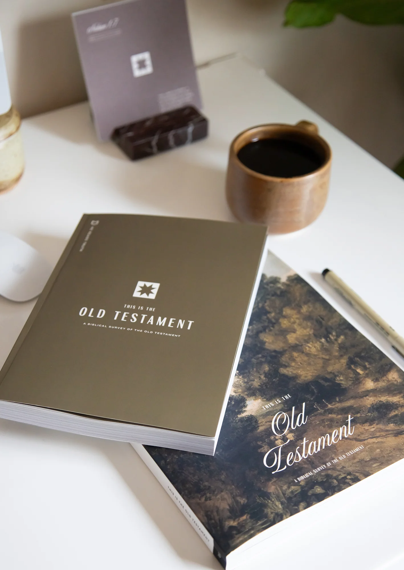 This Is the Old Testament Women's and Men's Reading Guide Bundle - Image 3