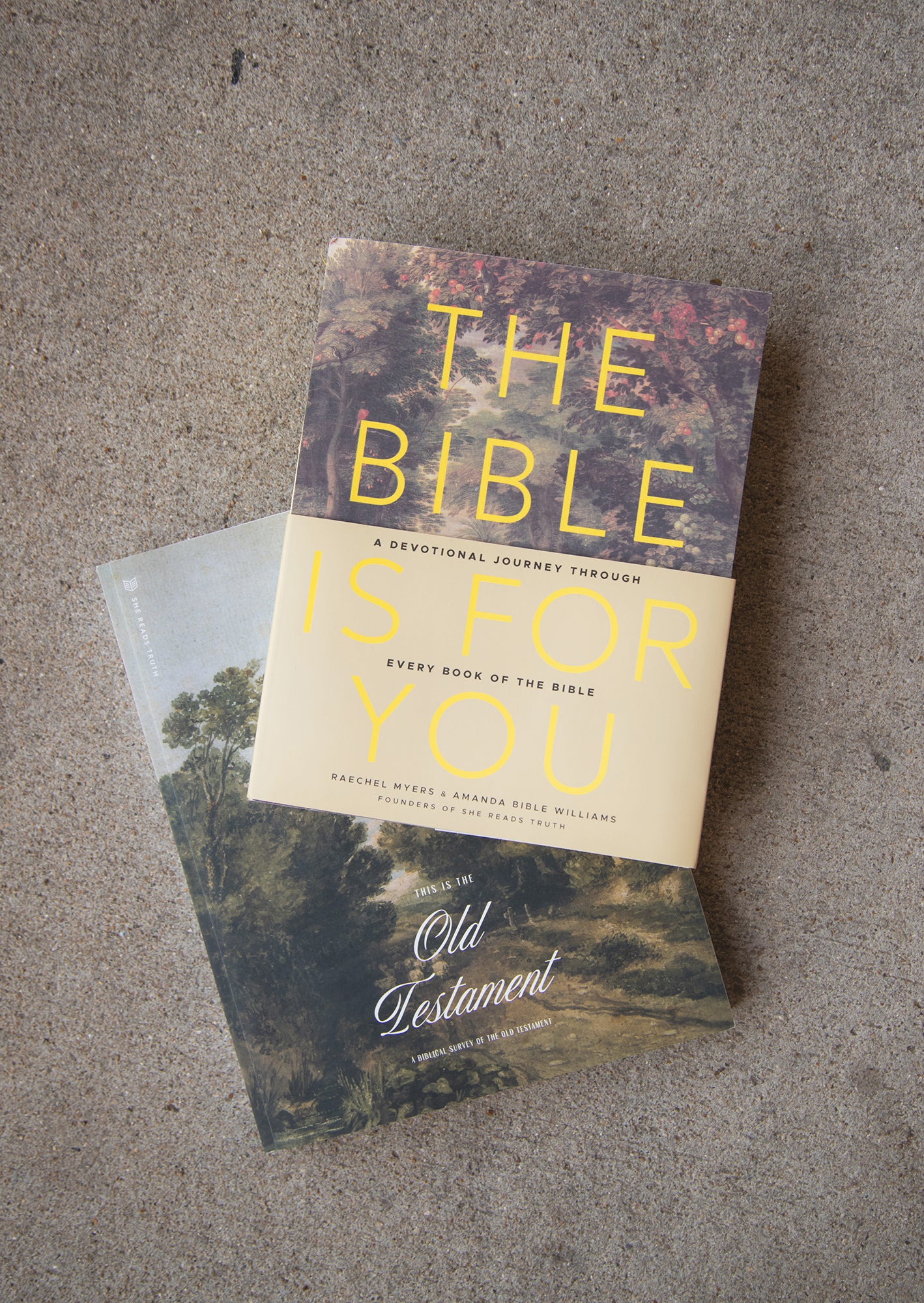 This is the Old Testament Women's Reading Guide + The Bible Is for You Bundle - Image 2