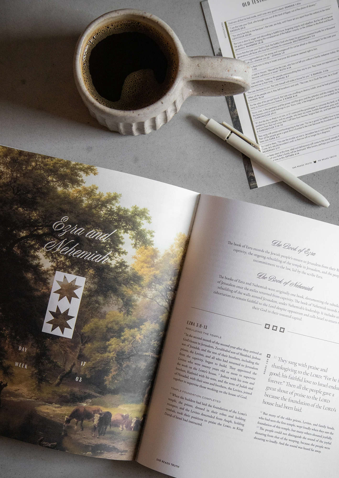 This Is the Old Testament Women's Reading Guide - Image 3